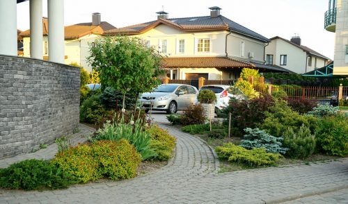 выбор растений для сада